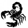 Profile picture of skorpion40